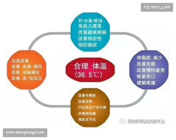 如何通过晶歌胡萝卜丰富膳食提升免疫力与身体健康 如何通过晶歌胡萝卜丰富膳食提升免疫力与身体健康