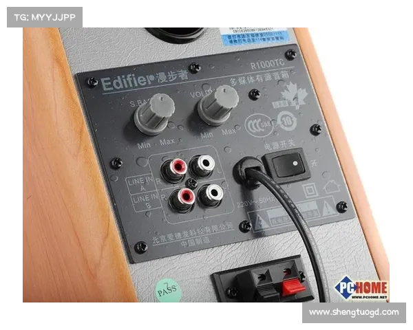 R1000TC北美版全面评测与实用功能解析,助你轻松上手 R1000TC北美版全面评测与实用功能解析,助你轻松上手