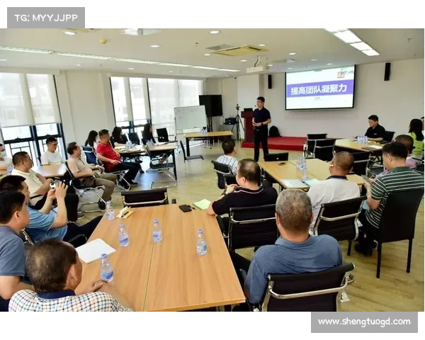 团队协作秘籍深入解析辅助光辉装备搭配与玩法策略 团队协作秘籍深入解析辅助光辉装备搭配与玩法策略