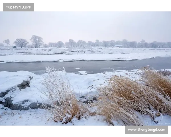 探秘鹤观岛的自然奇观与人文景色,畅游这片神秘海域的独特风光 探秘鹤观岛的自然奇观与人文景色,畅游这片神秘海域的独特风光