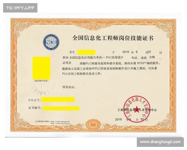 工程师职业发展中提升核心竞争力的高效技能优化策略研究 工程师职业发展中提升核心竞争力的高效技能优化策略研究