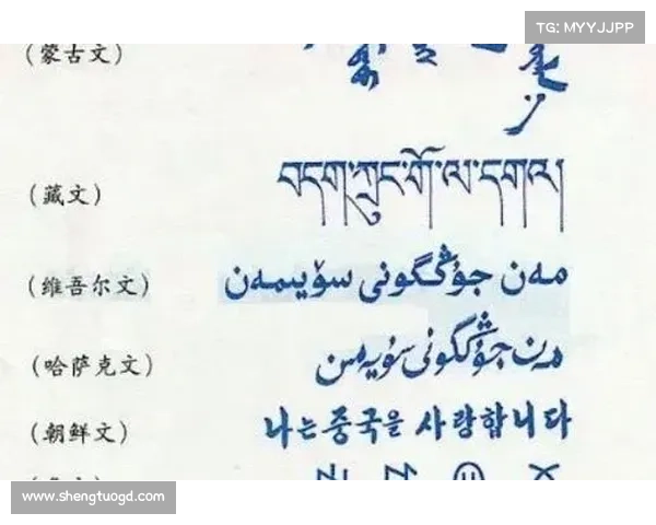 如何了解巴舒亚伊的语言背景及他常用的语言交流方式