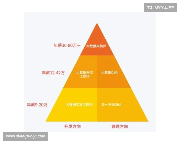 如何评估法甲新星未来职业发展潜力与成长路径